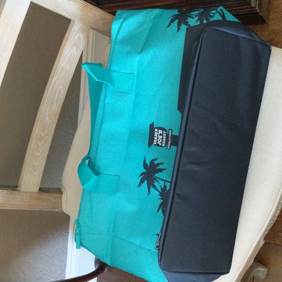 Trader Joe's large Teal insulated tote - Picture 4 of 4